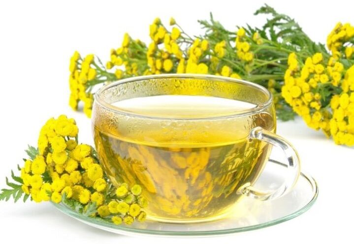 Tansy decoction parasitoak gorputzean